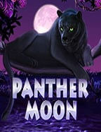 Dragon ทดลองเล่นฟรี สล็อตสุดเจ๋งจาก Joker Gaming